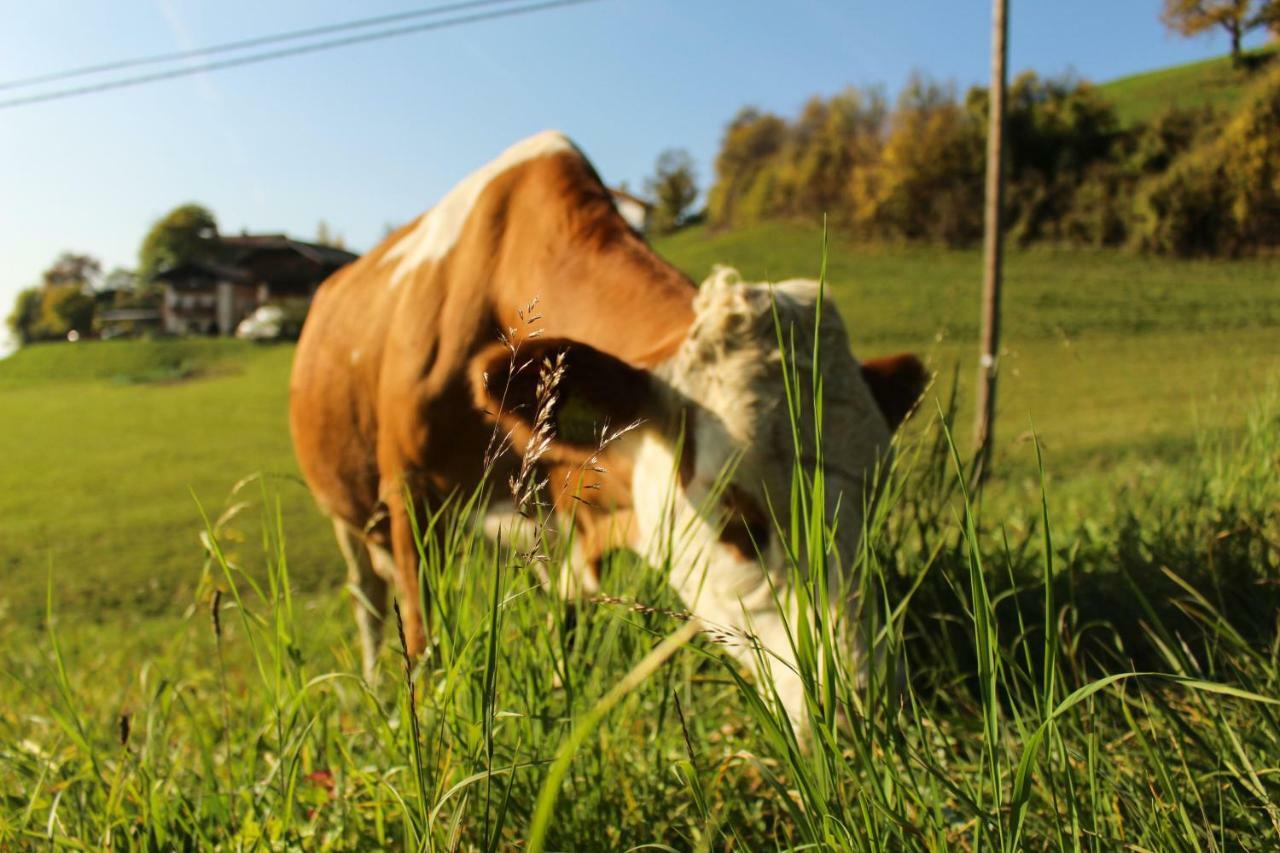 Vila Putzerhof Siusi Exteriér fotografie